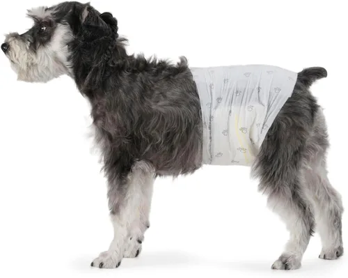 Vista 10 de Amazon Basics Pañales para perros machos, 30 unidades, XS, ultra absorbentes, desechables, con ajuste seguro, a prueba de fugas y cómodos