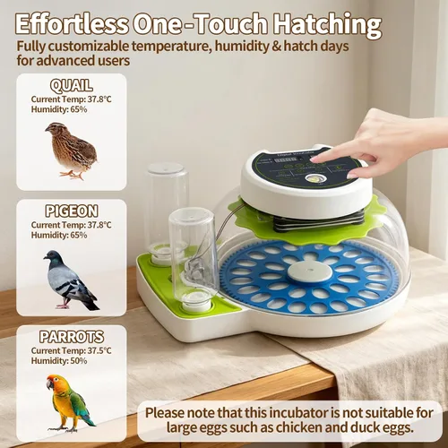 Vista 5 de Incubadora de huevos de codorniz para incubar 33 huevos de codorniz con girador automático y control de humedad, criador de codornices pequeñas