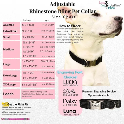 Vista 7 de Collar de perro con diamantes de imitación, hebilla grabada y opciones de correa, collares de perro brillantes a la moda, joyas brillantes