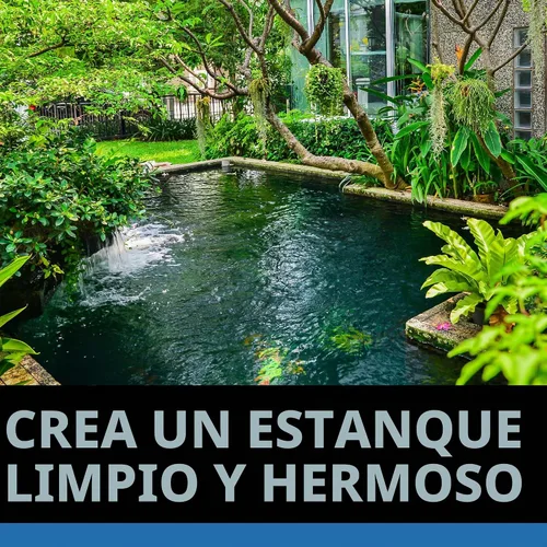Vista 5 de CrystalClear AlgaeOff - Asesino de algas para estanque y jardín acuático, 2.5 libras