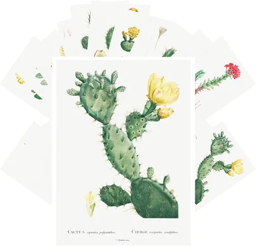 Vista 8 de PIXILUV Johann - Postales vintage (24 unidades), diseño de flores salvajes, jardín, aun vida, arte de pintura de museo antiguo, reimpresión