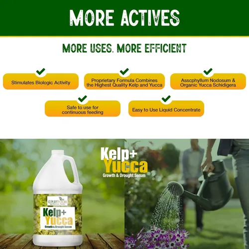 Vista 3 de GS PLANT FOODS Kelp + Yucca Liquid Plant Food Fertilizante orgánico agente humectante para huerto, césped, plántulas, plantas de interior y cultivo
