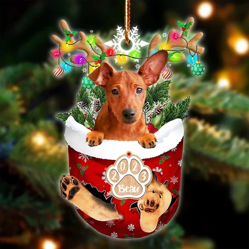 Vista 67 de NAZENTI Adorno Navideño de Bolsillo Personalizado de Affenpinscher en la Nieve, Adorno de Forma Acrílica de Perro, Adorno de Navidad 2023, Adorno