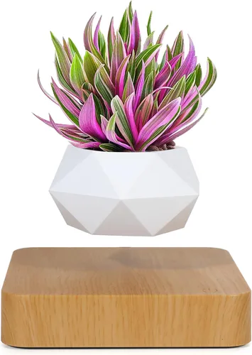 Vista 7 de Maceta de Bonsái que Levita en el Aire, Cosas Geniales, Macetas Giratorias para Flores, Planta en Maceta para Decoración de Escritorio en Macetas