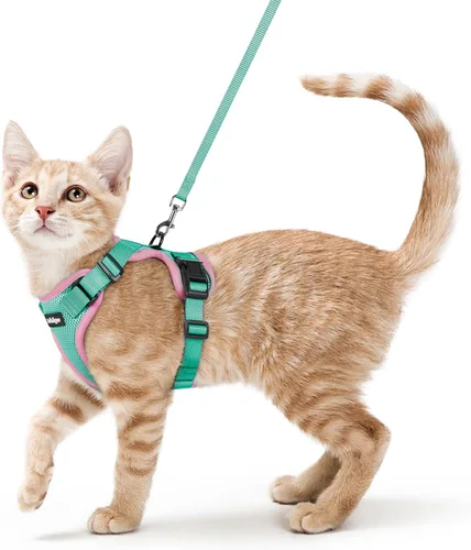 Vista 30 de rabbitgoo Cat Harness and Leash Set, Escape Proof Vest, XXS, Berry Pounce Soft Breathable Mesh, No-choke Adjustable Fit, Snap Buckles, Sturdy