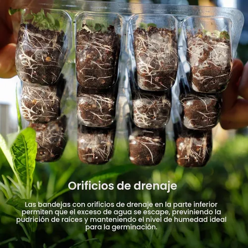 Vista 5 de MIXC Kit de inicio de semillas con luz de crecimiento, kit de bandeja elevada para plántulas con cúpula de humedad ajustable y bandeja de celdas