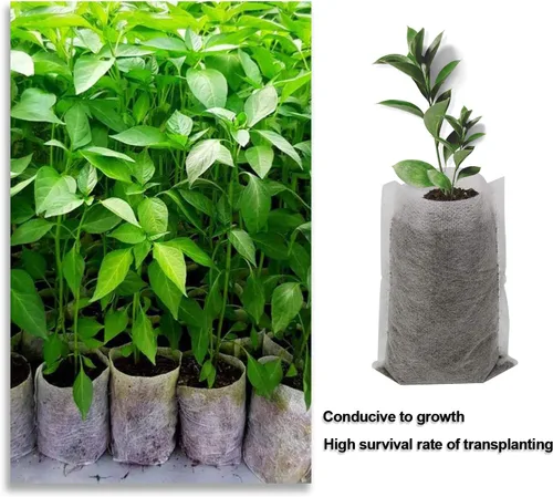 Vista 4 de Augshy Bolsas de cultivo de vivero, 400 bolsas de tela para plantas, bolsas de cultivo de plantas no tejidas, bolsa de inicio de siembra, plantas