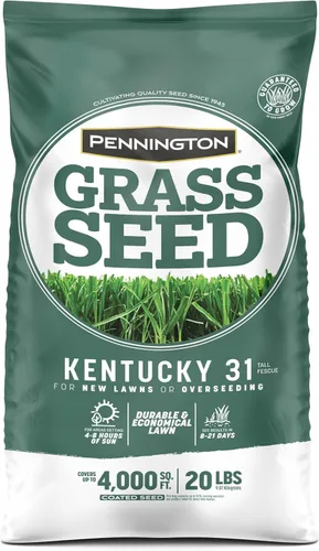 Vista 10 de Pennington Kentucky 31 Festuca - Semillas de hierba de 20 libras de altura