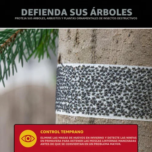 Vista 2 de Catchmaster Tree Shield - Trampa para moscas y hormigas, barrera de insectos, 12 rollos de 30 pies cada uno, trampa de insectos para gatear