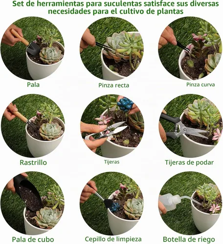 Vista 3 de 11 piezas de herramientas para suculentas, mini herramientas de jardín, herramienta de riego de suculentas como accesorios para plantas, kit