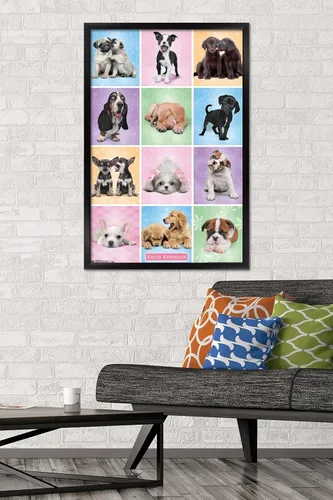 Vista 2 de Trends International Póster de pared Puppies Cuties, 22.375 x 34 Versión con marco negro