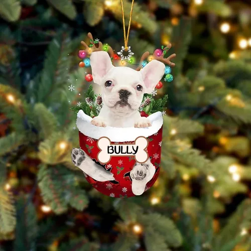 Vista 123 de IZI POD Affenpinscher Adorno de Navidad personalizado para perro, adorno de bolsillo de nieve para perro para árbol de Navidad, adorno acrílico