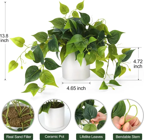 Vista 7 de Planta sintética en maceta, plantas decorativas de Pothos falsos con maceta de cerámica blanca para estante de escritorio, baño, decoración de sala