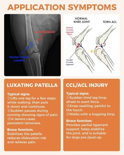 Vista 7 de Rodillera para Perro para ACL/CCL Desgarrado Pata Trasera, Soporte Ajustable con Suficiente Envoltura y Soporte y Luxación de Rótula, Soporte