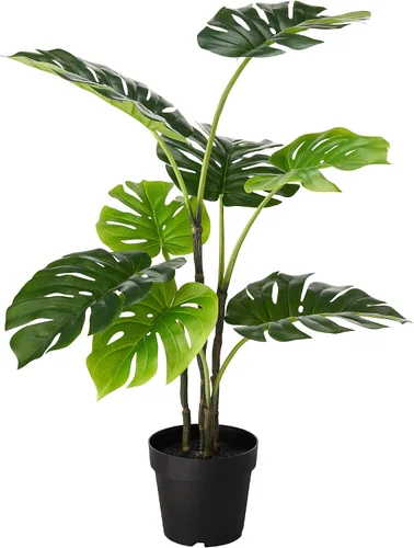 Vista 3 de PowerGrow - Fertilizante para plantas de interior – Fórmula completa de liberación lenta + micro nutrientes – Alimenta plantas de interior durante 8