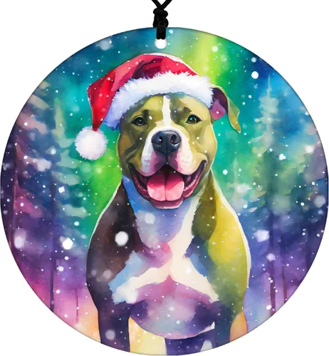 Vista 7 de Adorno de Navidad de Pitbull - Adorno colgante deportivo para el hogar con diseño temático de béisbol - Adorno de disco acrílico 2025 para árbol