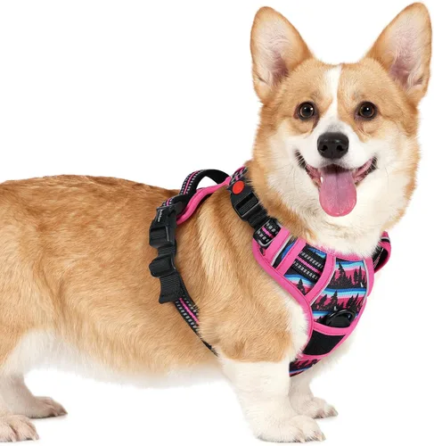 Vista 41 de Rabbitgoo - Arnés para perro de tamaño pequeño, arnés para mascotas sin tirones con 3 hebillas, chaleco acolchado suave ajustable con mango