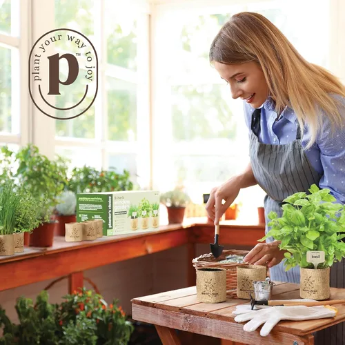 Vista 3 de Kit de jardín para ventana interior de 9 hierbas, semillas de plantas de interior, regalos de cumpleaños Best Unique Gift Ideas for Women, Mom