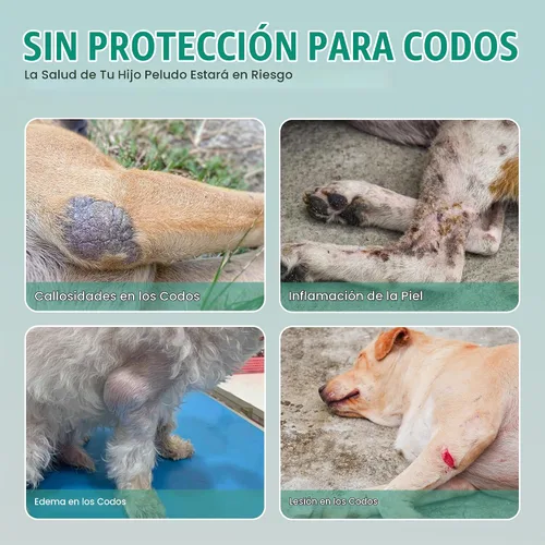 Vista 3 de Codera para perros grandes, protección contra callos de la pierna