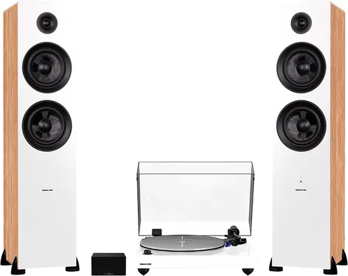 Vista 13 de Fluance RT85 Reference High Fidelity Vinyl Turntable, PA10 Phono Preamp and Ai81 Powered Floorstanding Speakers, Ortofon 2M Blue Cartridge, 150W