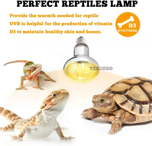 Vista 3 de UVA UVB Lámpara solar de alta intensidad autobalastizada lámpara de calor para reptiles y anfibios (80W)