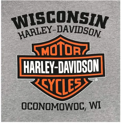 Vista 2 de Harley-Davidson Sudadera con capucha para hombre, Willie G Skull, gris 30296654