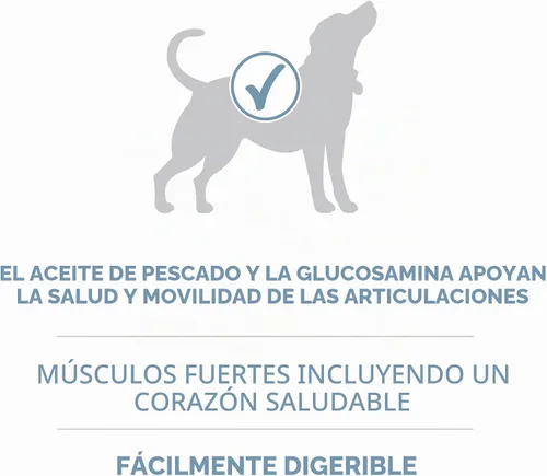 Vista 4 de Purina ONE Plus Fórmula para la salud de las articulaciones, alimento seco natural para perros con vitaminas, minerales y nutrientes añadidos