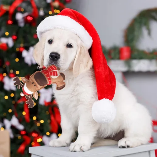 Vista 7 de Hiboom Mini Juguetes de Peluche de Navidad para Perros Chirriantes para Cachorros Interactivos Duraderos para Masticar Juguetes de Peluche