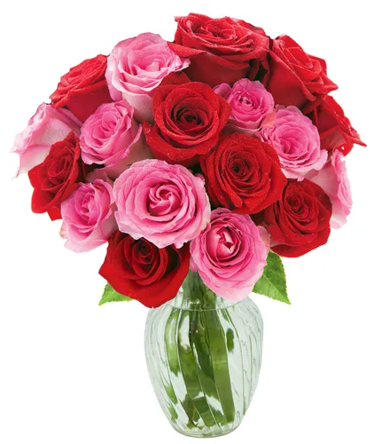 Vista 55 de KaBloom - Rosas arcoíris (media docena)- Flores frescas para cumpleaños, San Valentín y Día de la Madre