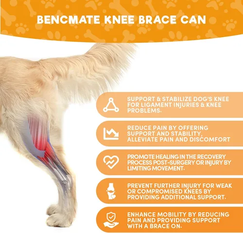 Vista 3 de BENCMATE Rodillera ajustable para perro, diseño universal para las cuatro extremidades, soporte de pierna trasera de ACL de perro, soporte CCL