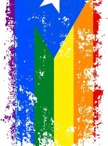 Vista 7 de Sudadera con capucha con cremallera y bandera de Arco iris Puerto Rico Lgbt Gay Pride