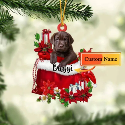Vista 48 de Perro Akita Inu personalizado en bolsa de regalo, adorno de Navidad, nombre personalizado, regalo para amantes de los perros, familia, Navidad