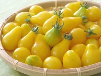Vista 2 de Tomate Yellow Pear Great Heirloom Garden VegetableBy Seed Kingdom Bulk Semillas de 1 onza