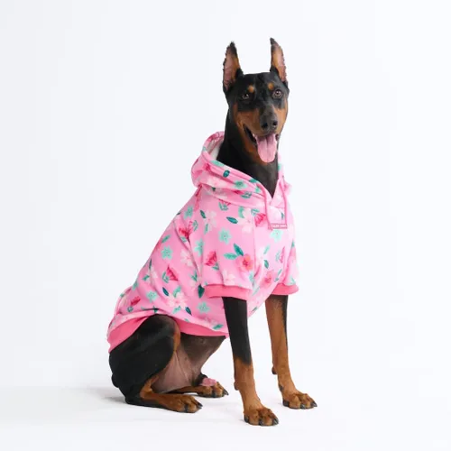 Vista 45 de Spark Paws Sudadera con capucha para perro, suéter de primera calidad para perros pequeños, medianos y grandes Trajes cálidos para bulldogs