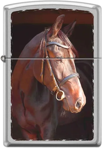 Vista 15 de Zippo Encendedor - Encendedor personalizado personalizado grabado animal resistente al viento