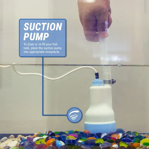 Vista 6 de TERA PUMP - Bomba de agua sumergible para tanque de peces de 12 V con manguera de descarga de 10 pies y entrada de malla filtrada, bomba de drenaje