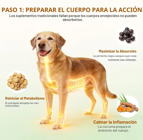 Vista 3 de Hongo de cola de pavo para perros, suplemento para perros mayores para grumos, protuberancias y lipoma, masticables suaves con Reishi, Maitake
