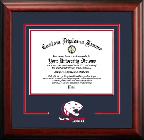 Vista 66 de Marco de Diploma Spirit NCAA