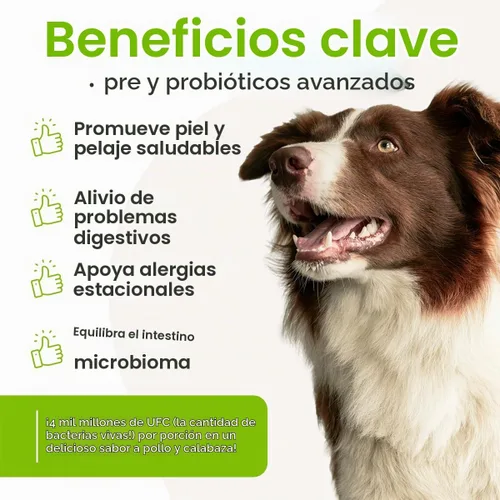 Vista 2 de Dr. Joseph's VetPro Complete Advanced Pre y probióticos en polvo para perros, decoración de comida, 90 cucharadas, apoya la salud intestinal