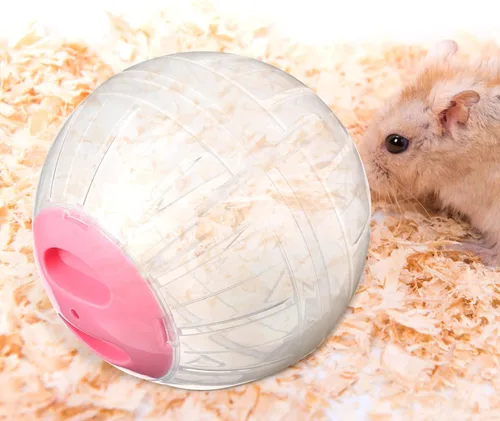 Vista 7 de POPETPOP 2 juguetes de hámster, pelota de ejercicio transparente, rueda de hámster para hámsteres enanos, mascotas pequeñas, correr para aumentar