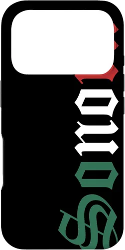 Vista 30 de Sonora Mexico Mexican Flag State Estado Case for iPhone 16