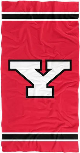 Vista 136 de LOGOVISION Manta Abilene Christian University, 30 x 60 pulgadas, logotipo primario CottonFront/PolyBackBeachTowel