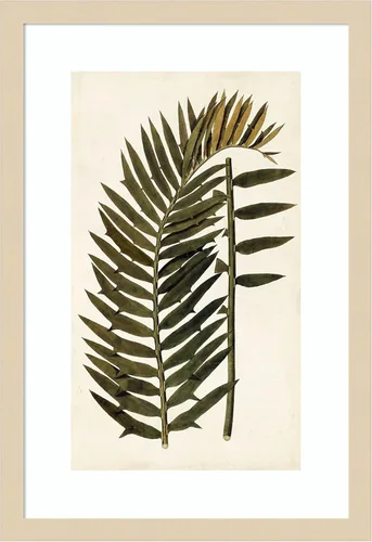 Vista 7 de Amanti Art Vision Studio - Lienzo decorativo para pared, 24 x 17 pulgadas, variedades de hojas VIII, arte de pared de naturaleza, decoración