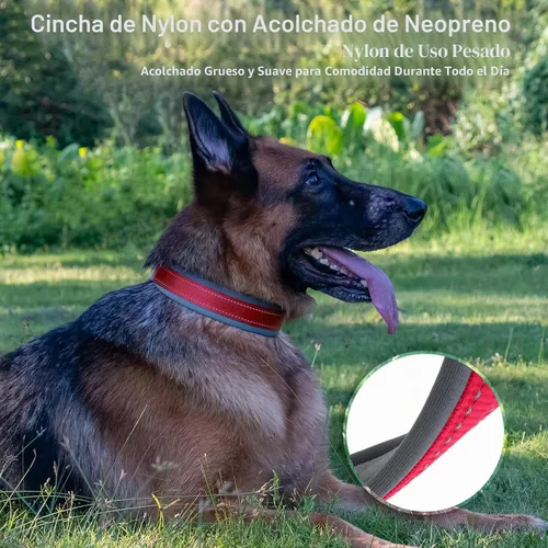 Vista 4 de Collar de perro personalizado, nombre bordado y número de teléfono, collar de nailon reflectante personalizado para mascotas, ajustable