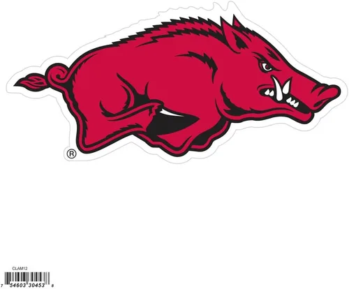 Vista 14 de NCAA, imán con logotipo, 8 pulgadas