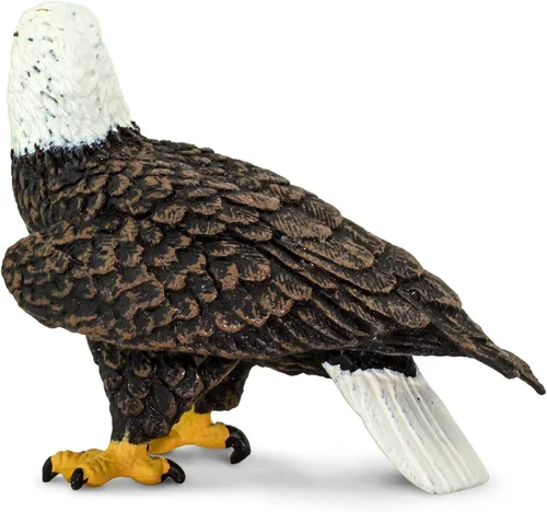 Vista 6 de Safari Ltd. Figura de águila calva - Figura de ave realista de 6 cm - Juguete educativo para niños, niñas y niños de 3 años en adelante