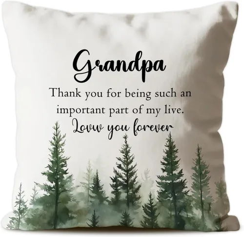 Vista 9 de Fundas de almohada acogedoras para papá, regalos de agradecimiento para papá y padre, almohada de cojín conmovedora para papá, 18 x 18 pulgadas