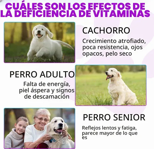 Vista 4 de Gotas multivitamínicas 15 en 1 para perros, gotas multivitamínicas líquidas