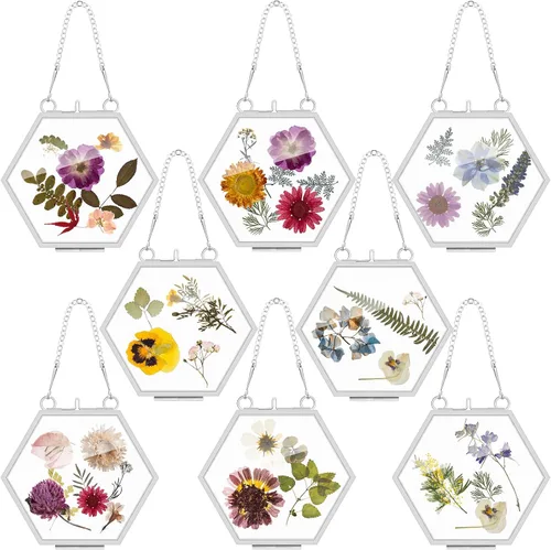 Vista 8 de Marsui 8 Piezas Marcos de Flores Prensadas 4 x 3 Pulgadas Marcos de Fotos Flotantes de Vidrio Colgantes para Flores Prensadas Vidrio Doble Imagen