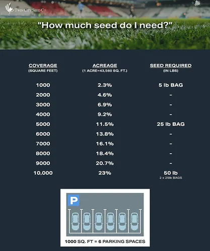 Vista 3 de Twin City Seed Co. Native Bee - Mezcla de césped de abeja, festuca fina, autocuración, milenrama Yaak y hierba de ojos azules, bajo mantenimiento